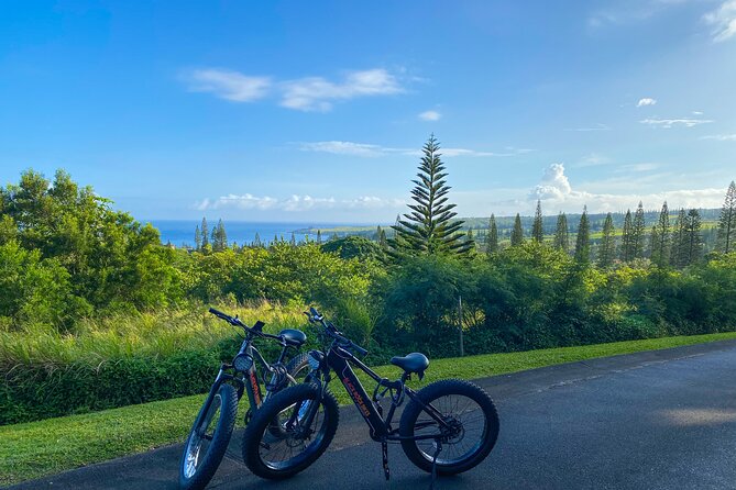 West Maui Electric Bike Rentals - Who Should Book This Rental (and Who Might Skip It)