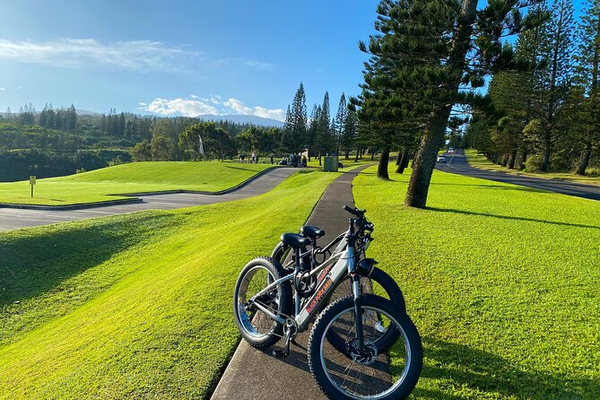 West Maui Electric Bike Rentals - Meet-Up, Gear, and How You’ll Start Riding