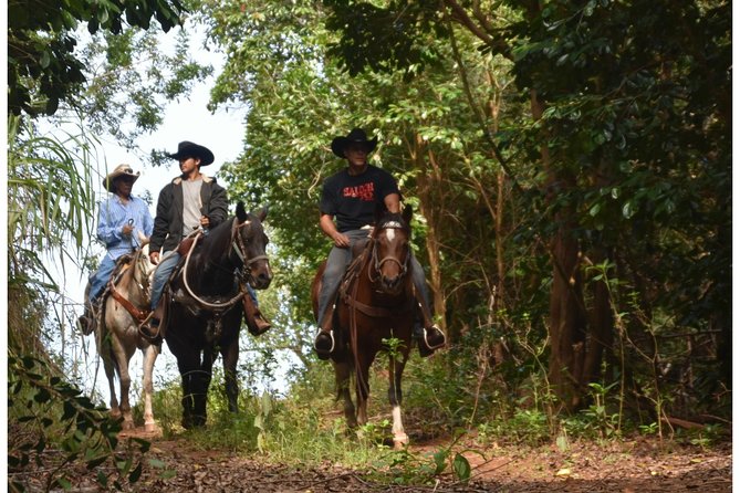 West Maui Mountain Waterfall and Ocean Tour via Horseback - Where the Day Starts in Wailuku (and Why Timing Matters)