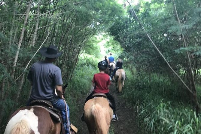 West Maui Mountain Waterfall and Ocean Tour via Horseback - Down to the Pacific: Coastal Riding on Bluffs, Not the Beach