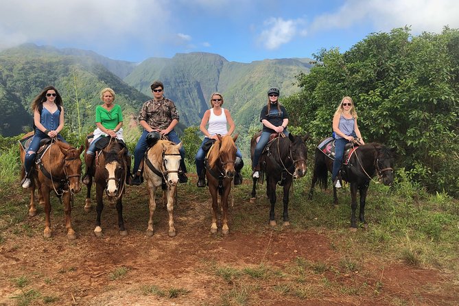 West Maui Mountain Waterfall and Ocean Tour via Horseback - Guides, Horses, and the Pace on Steep Terrain