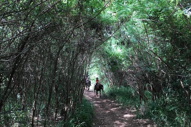 West Maui Mountain Waterfall and Ocean Tour via Horseback - Value for $187.50: What You’re Actually Paying For