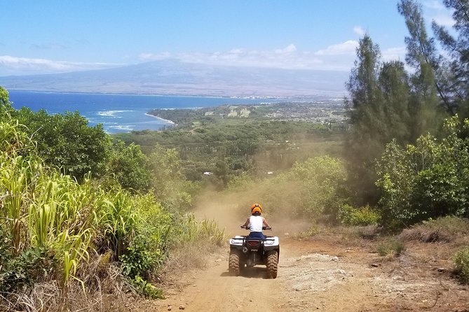 West Maui Mountains ATV Adventure - The guide’s role: pace, safety, and real local context