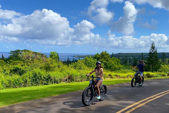 West Maui: Self-Guided E-Bike Kapalua Jungle Adventure Tour - Jungle-style cruising, coffee farms, and sand dunes