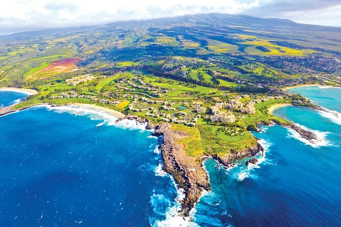 West Maui: Self-Guided E-Bike Kapalua Jungle Adventure Tour - Bike comfort, kids’ seats, and the 240-lb limit