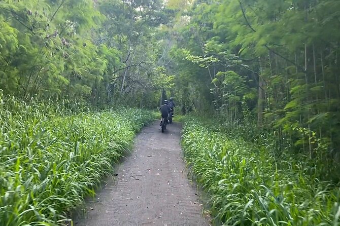West Maui: Self-Guided E-Bike Kapalua Jungle Adventure Tour - Throttle, battery expectations, and staying in control