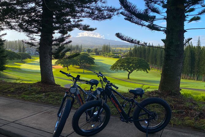 West Maui: Self-Guided E-Bike Kapalua Jungle Adventure Tour - Price and logistics: does $135 feel worth it?