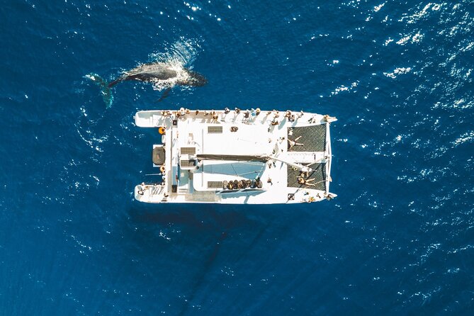 West Maui Snorkel & Sail - Reef-Safe Sunscreen, Snorkel Gear, and the Little Comfort Wins
