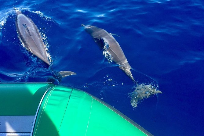 West Maui Snorkeling Experience by Boat from Ka'anapali - Key highlights at a glance