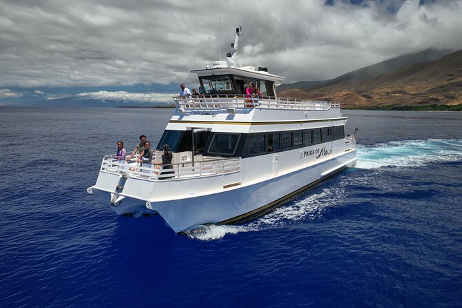 Whale Watch and Turtles Snorkel - Big stable catamaran = better whale watching and calmer snorkeling