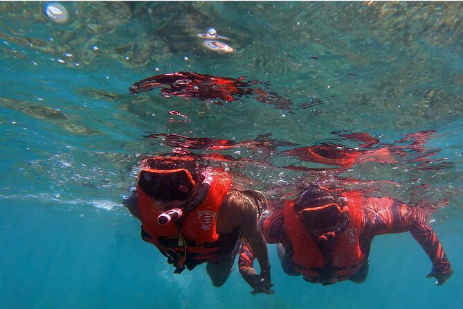 Whale Watch by Kayak-No Time Limit - Quick Timing and What to Do Before You Go