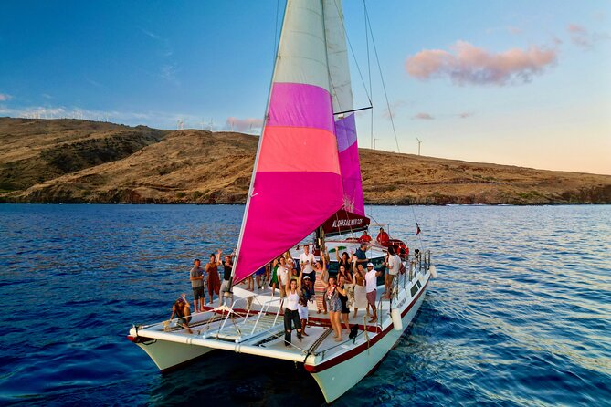 Whale Watching Tour on a Charming Hawaiian Catamaran From Maalaea - Why Maalaea makes a smart whale-watching choice
