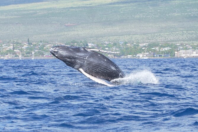 Whale Watching Tour on a Charming Hawaiian Catamaran From Maalaea - The scenery you get beyond the whales
